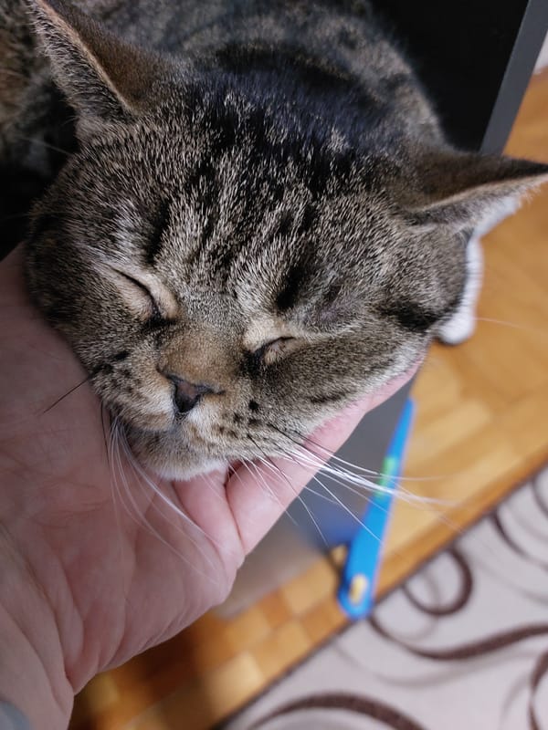 Quiet domestic moments captured in Chaikovsky, Russia