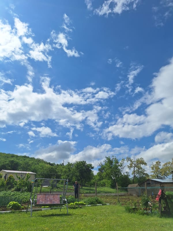 Morning backyard scene with dog, family in Elhovo Bulgaria