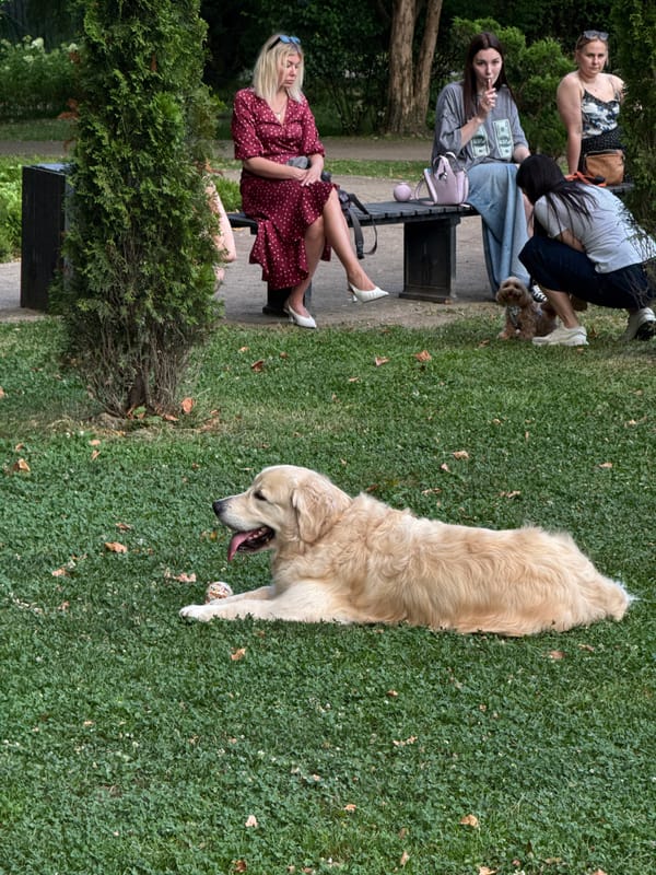Afternoon in a Sochi park, people and a dog out in the sun