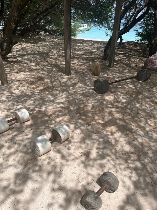 Beachside gym spotted among tropical trees in Indonesia