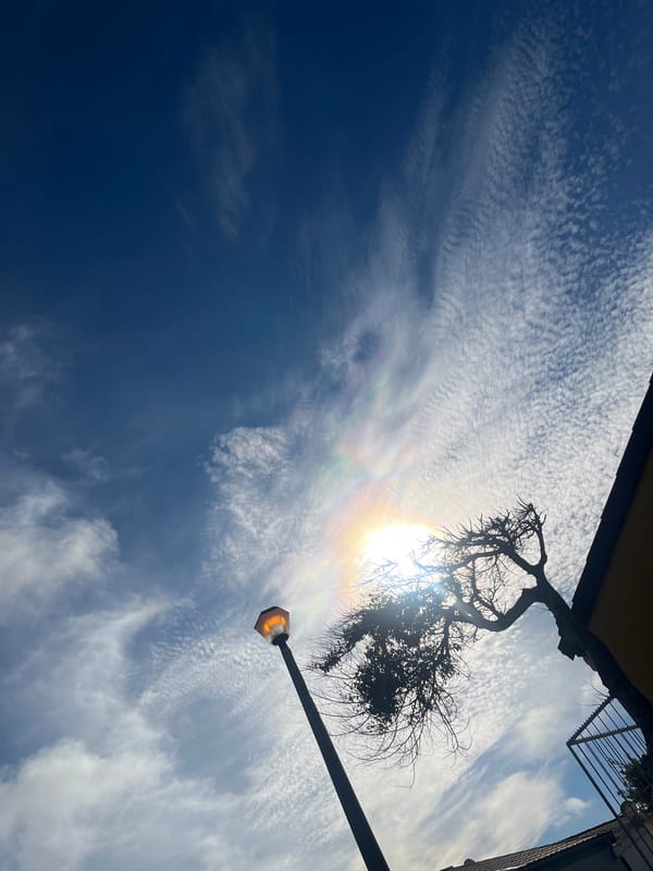 Sunday morning moments captured across Mitchells Plain neighborhood