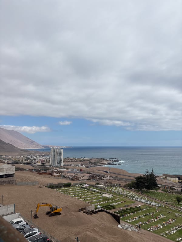 Iquique's flower-dotted cemetery seen from above, coast beyond