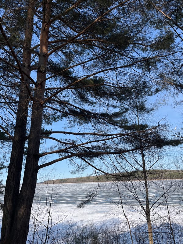 Winter day activities documented in Chaikovsky, Russia