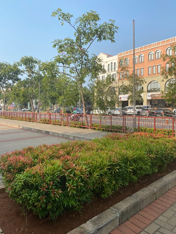 Morning walk through Jakarta's Chinese-heritage streets and cultural landmarks