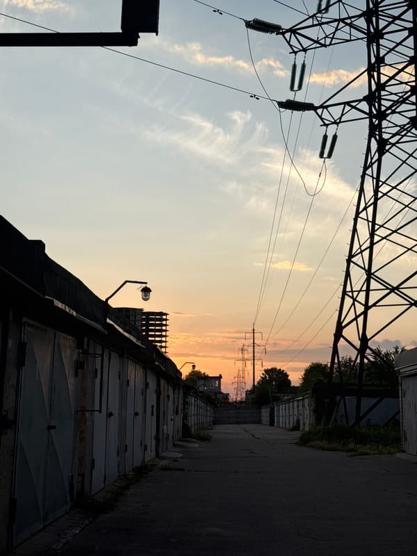 Zaporizhzhia at golden hour: streets, flowers, cats, and crypto slides
