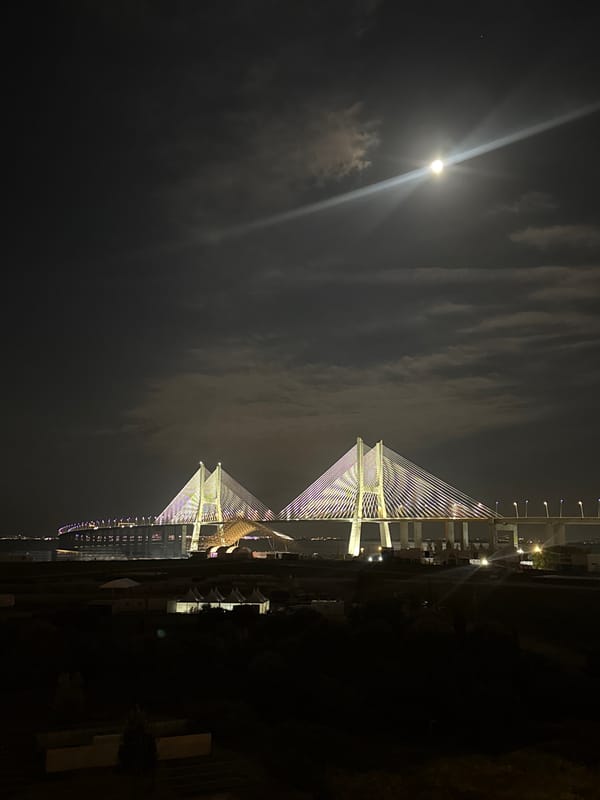 Vasco da Gama Bridge illuminated at night in Loures
