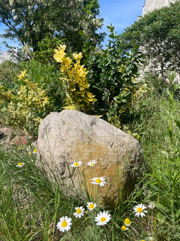 Artist displays homemade painting in Brest garden setting