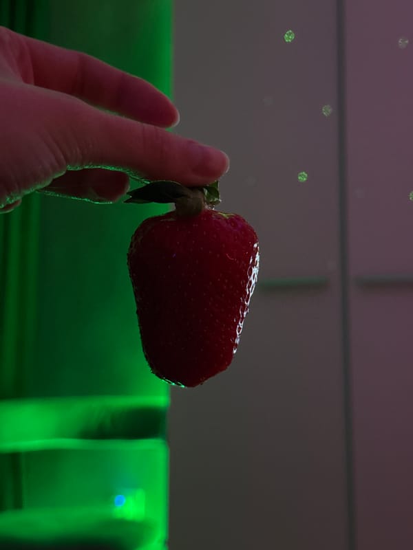 Person photographed handling strawberries indoors over three-hour period