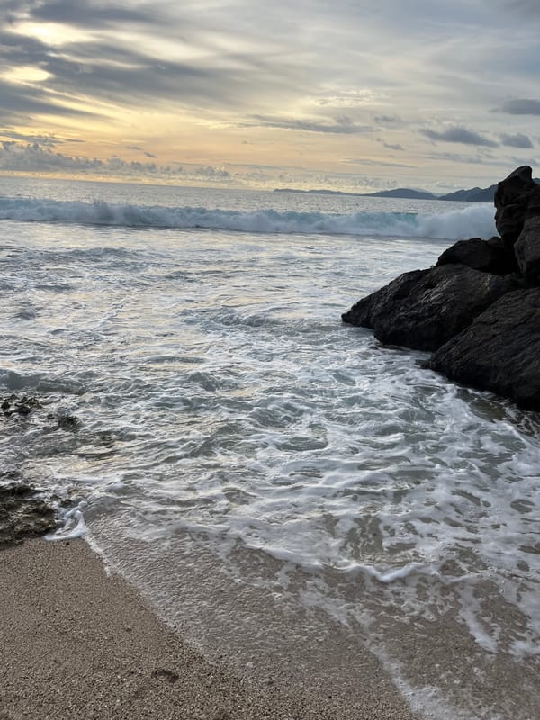 Low tide on a rocky shore, pools explored and waves watched