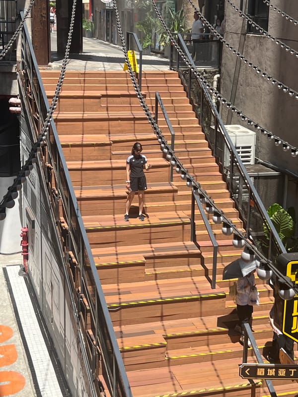 Rooftop pandas, neon lights, and wooden staircases in Chongqing