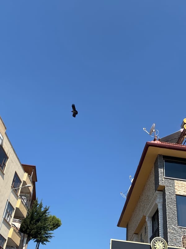 Morning life unfolds across Alanya's Mediterranean coastline and streets