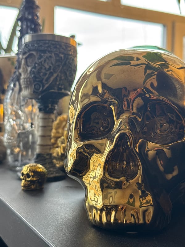 Gothic skull collection displayed on shelf in Krasnoyarsk