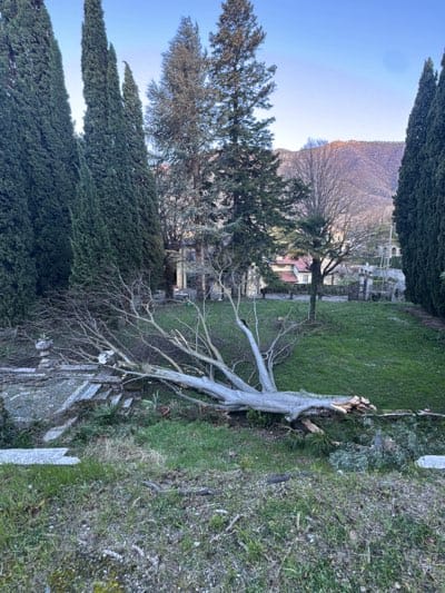Fallen trees and debris documented in Erba Italy park