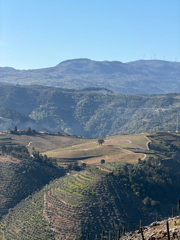 Motorcycle tour through Vila Real vineyards captures Portuguese countryside