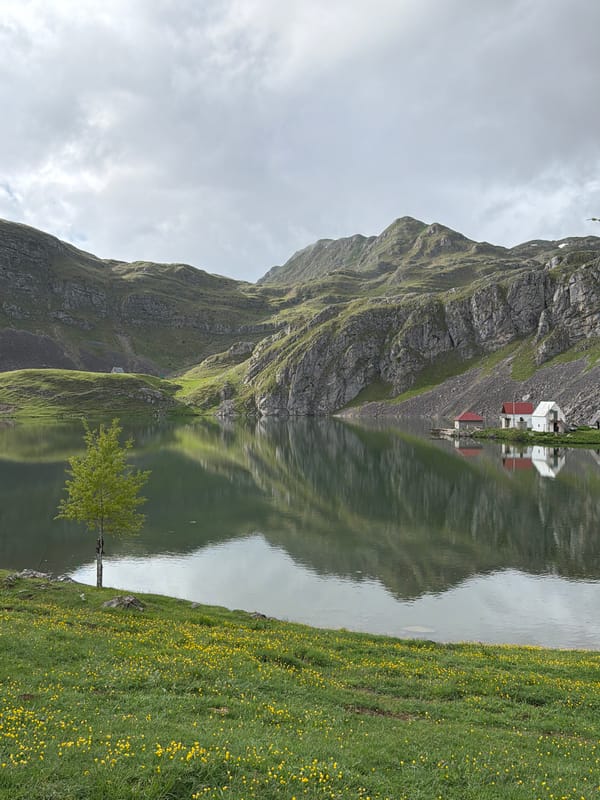 Photographer captures serene mountain landscapes across Montenegro regions