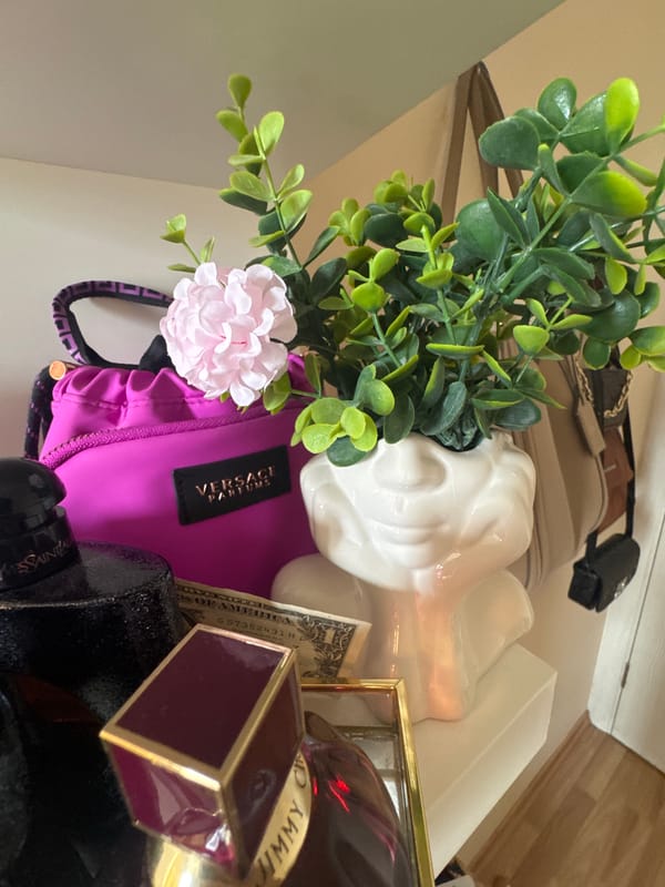 Still life arrangement with Versace pouch and plant in Sofia