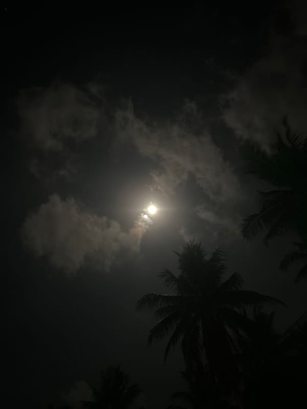 Bright moon illuminates tropical night sky in Thailand