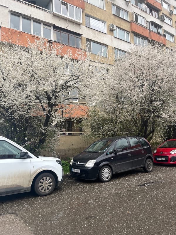 Spring blossoms frame apartment building in Sofia street scene