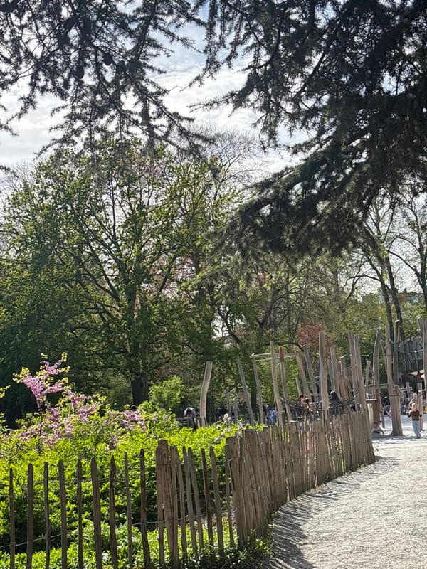 Ordinary afternoon moments documented across Antwerp park and home