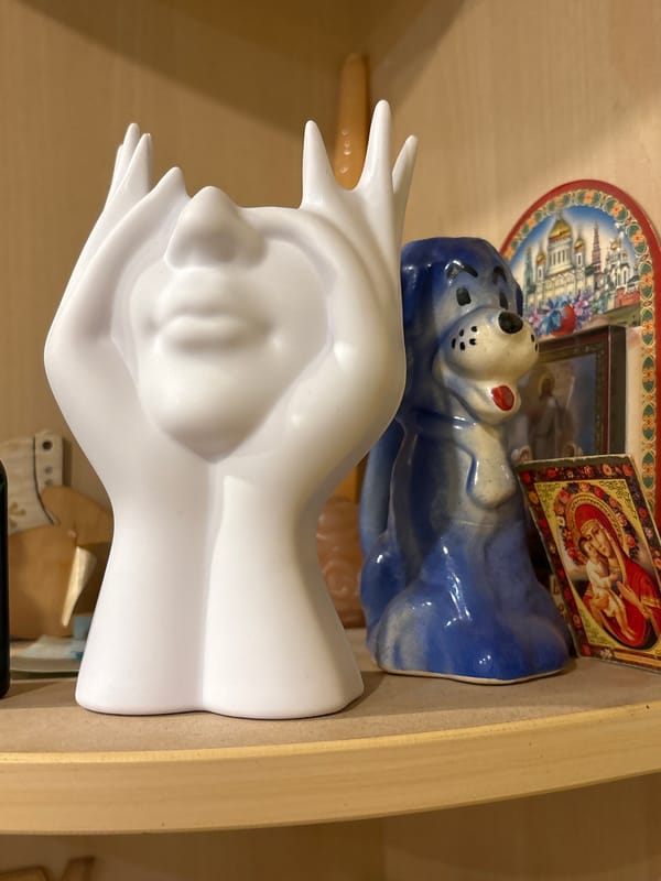 Home collection tour with roses and international souvenirs in Minsk