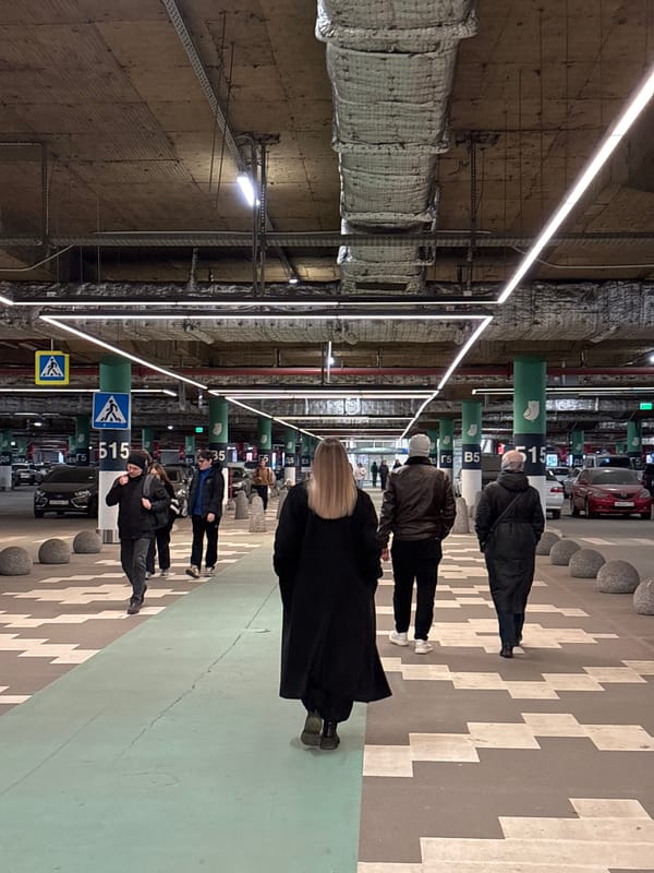 Routine daily life moments documented in Kudrovo, Russia