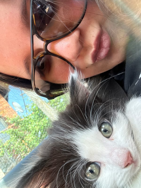 Woman travels with kitten through Rila, Bulgaria