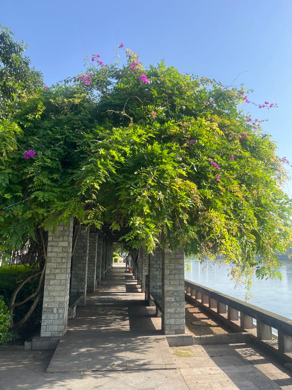 Morning scenes captured along sunny riverside promenade in Jiangjin