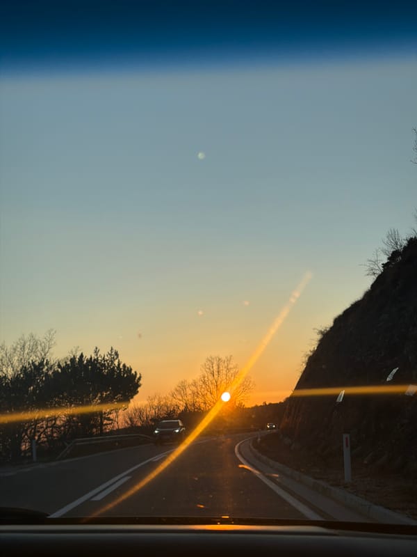 Sunset observed through bare trees from vehicle in Brajici, Montenegro