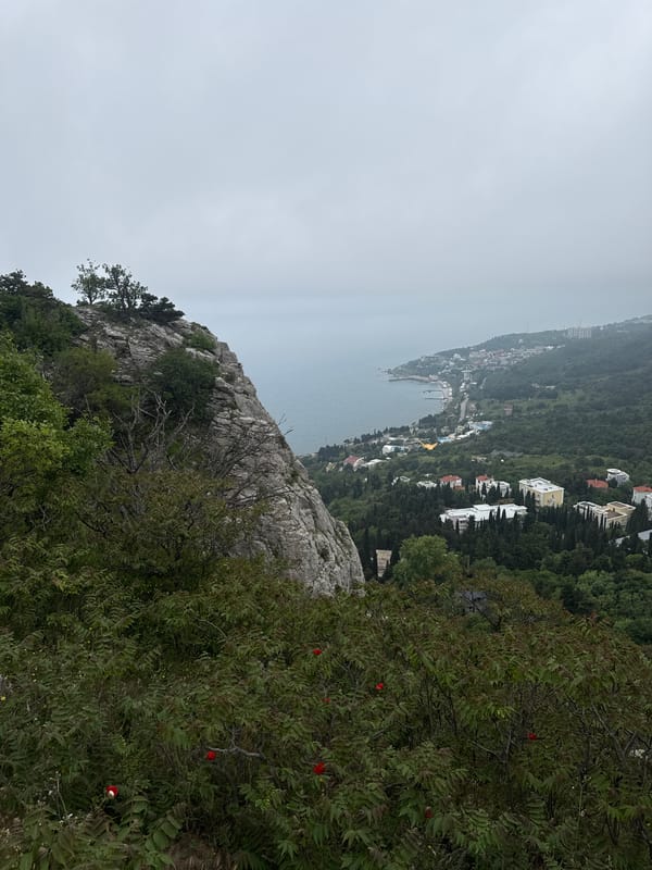 Morning fog shrouds Crimean coastal town amid spring poppy blooms