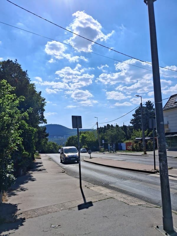 Budapest errand run: groceries, flowers, and street scenes