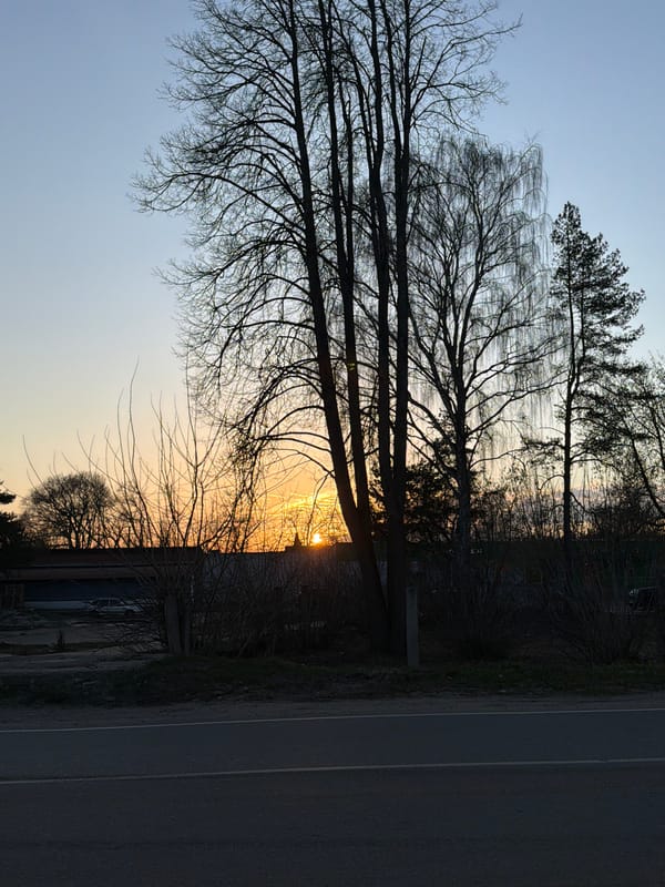 Evening scenes and couple selfie captured in Reshetnikovo, Russia