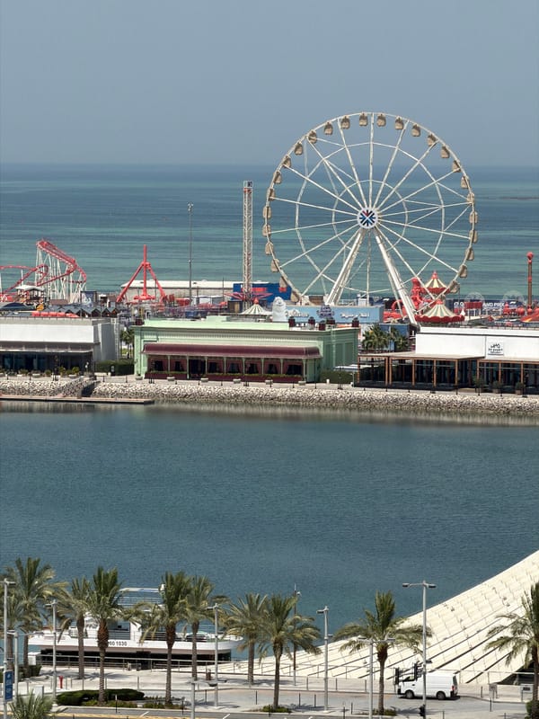 Coastal city scenes with amusement park and preserved roses documented