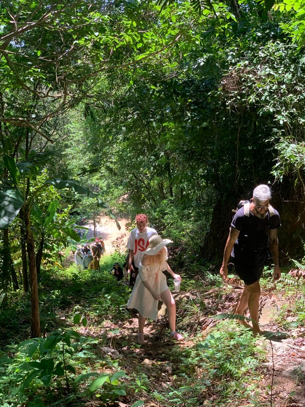 Early morning jungle trail and campfire in Ko Samui