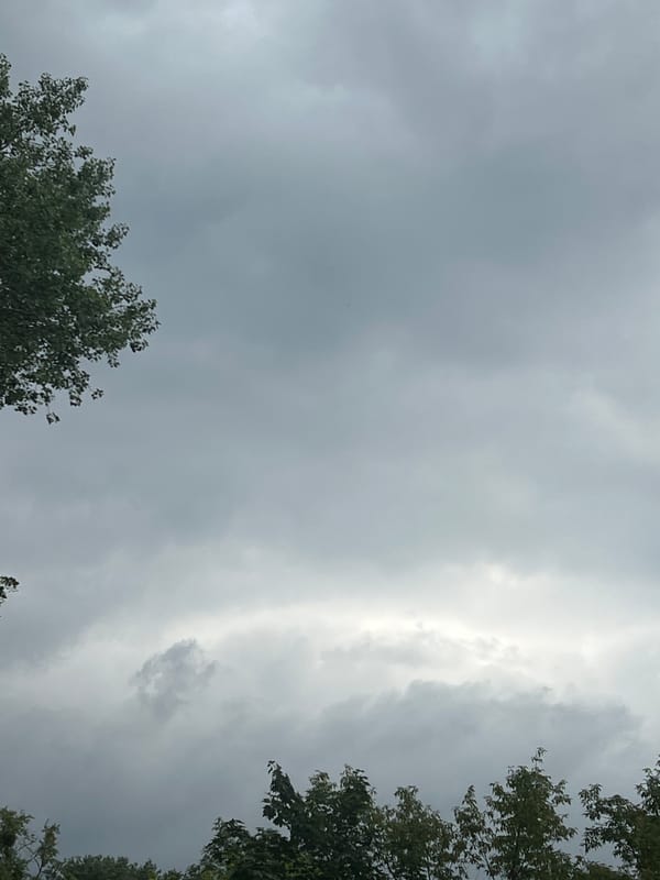 Heavy overcast sky above Warsaw's tree canopy, early morning.