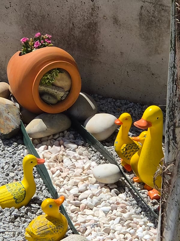 Pomeranian dog plays with ball on cobblestone streets in Portugal