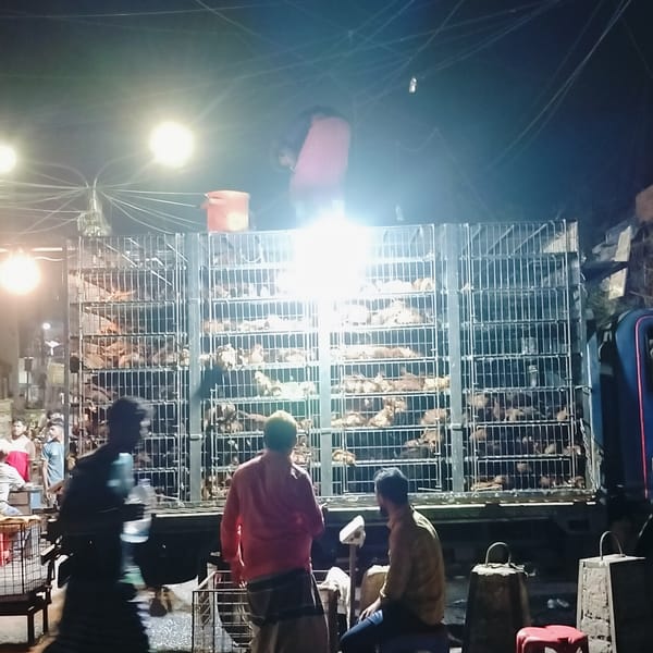 Chicken transport truck spotted at nighttime Dhaka poultry market