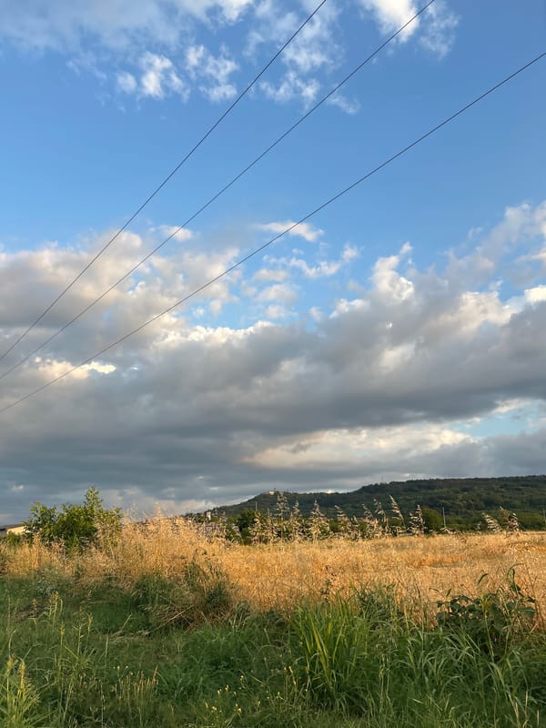 Dog on a leash, roadside scenes, golden-hour countryside