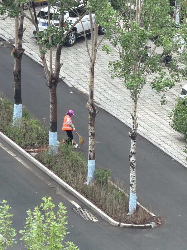 Routine street scenes documented in Tongjiang, China