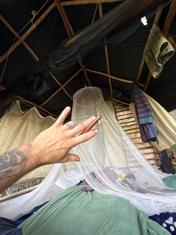 Shelter and forest structures documented in rural Thailand
