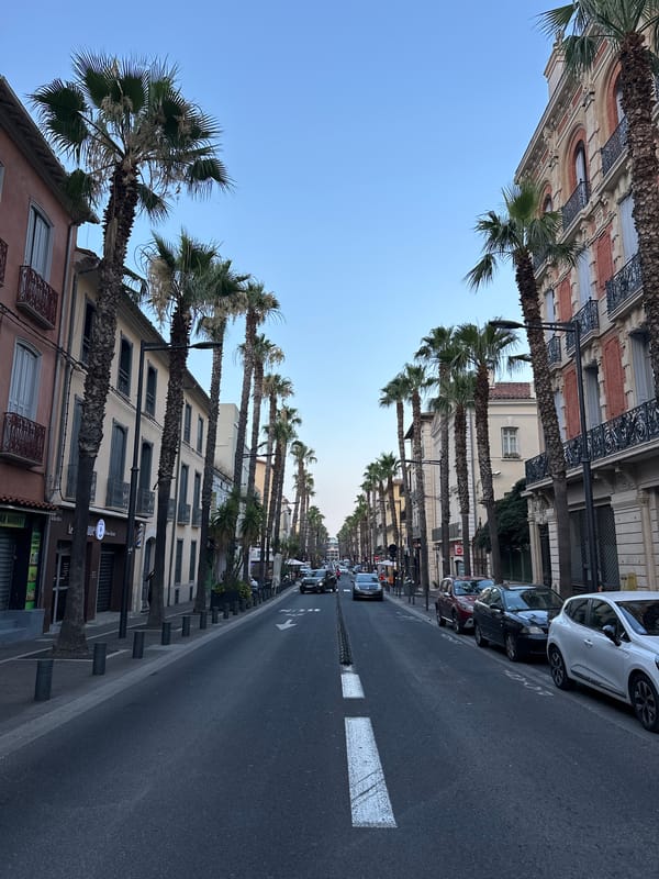 Palm-lined boulevard through central Perpignan on a summer evening.