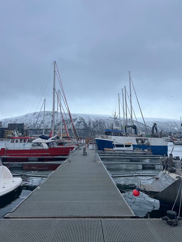 Tromsø harbor documented with boats and snowy mountain backdrop