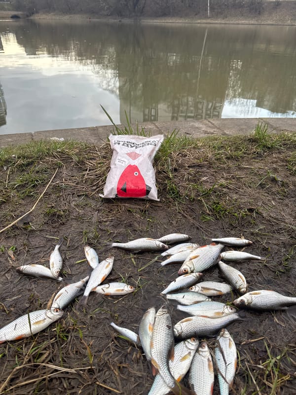 Angler catches fish in Moscow waterway Tuesday afternoon