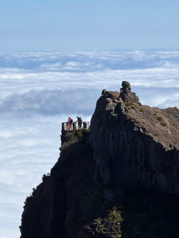 Hiking Group Explores High-Altitude Madeira Mountain Trails Above Clouds