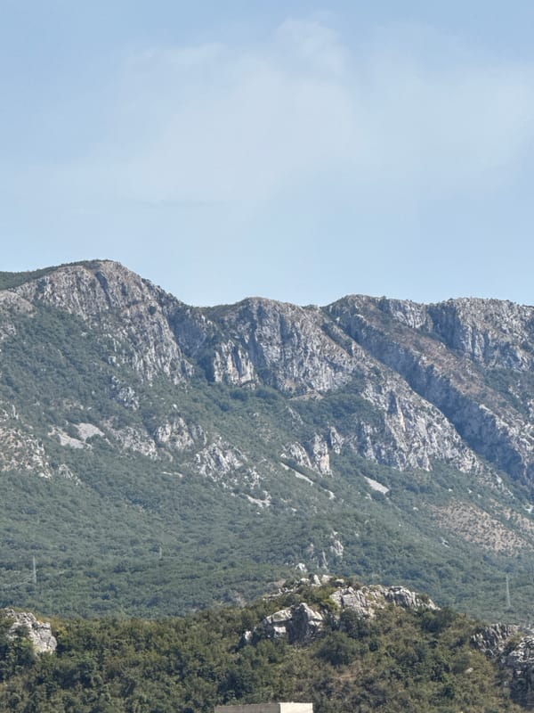 Rocky forested slopes above Boreti, Montenegro