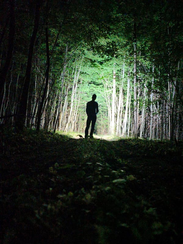 Silhouetted figure spotted in illuminated Ukrainian forest