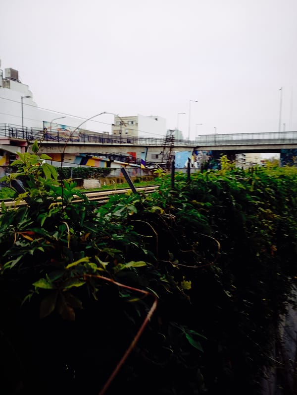 Abandoned railroad tracks and police activity documented in Buenos Aires