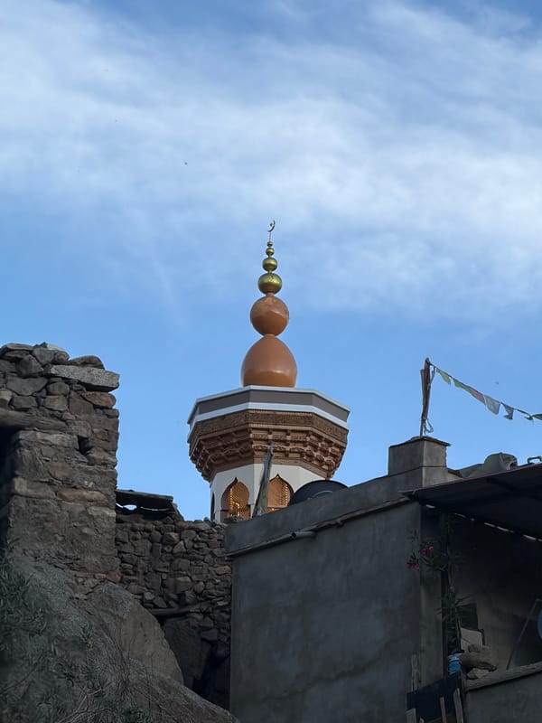 Gurdwara and minaret rise above Leh's old town streets