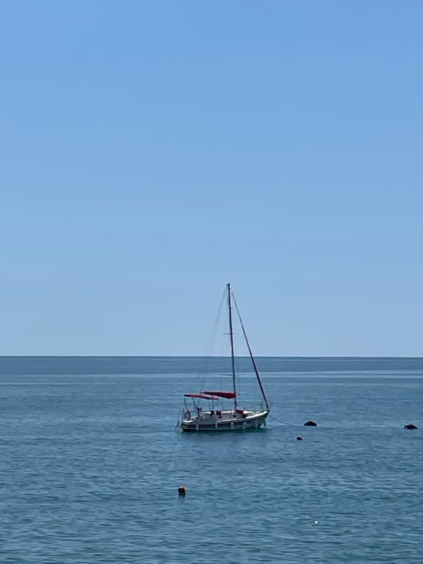 Summer morning along the Sochi beachfront and boardwalk