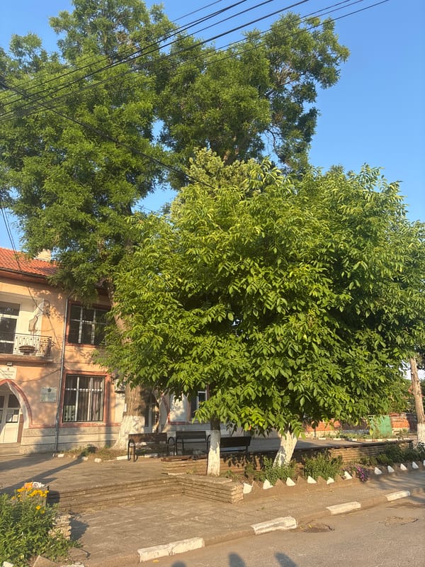 Afternoon street life documented in Malevo, Bulgaria over 13 minutes