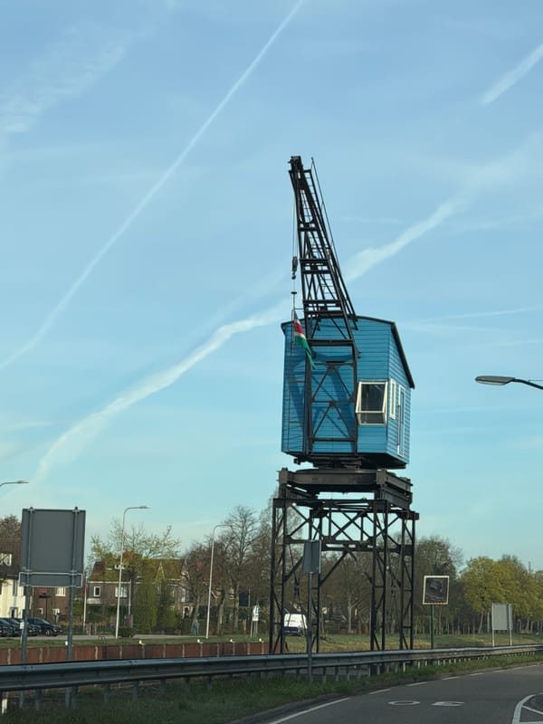 Blue crane photographed against contrailed sky in Beek en Donk
